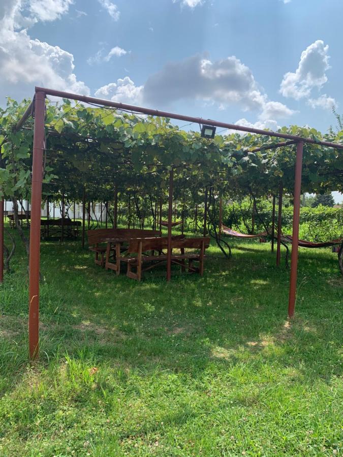 Pensiunea Cocosul de munte Baia de Fier Exterior foto