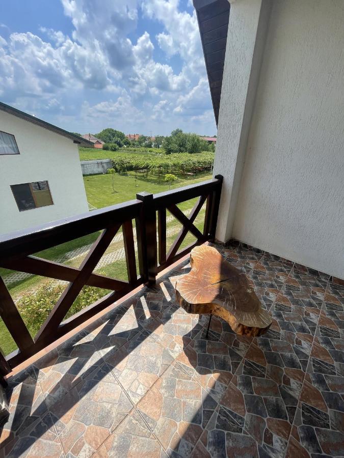 Pensiunea Cocosul de munte Baia de Fier Exterior foto